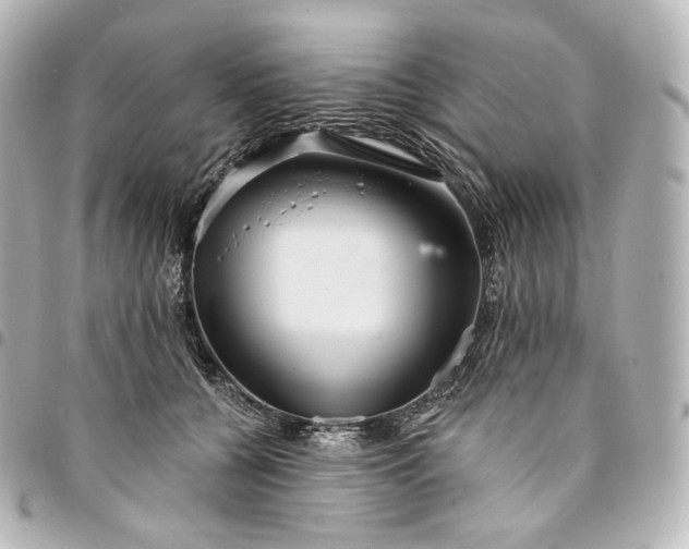 X0000095550560200712281608