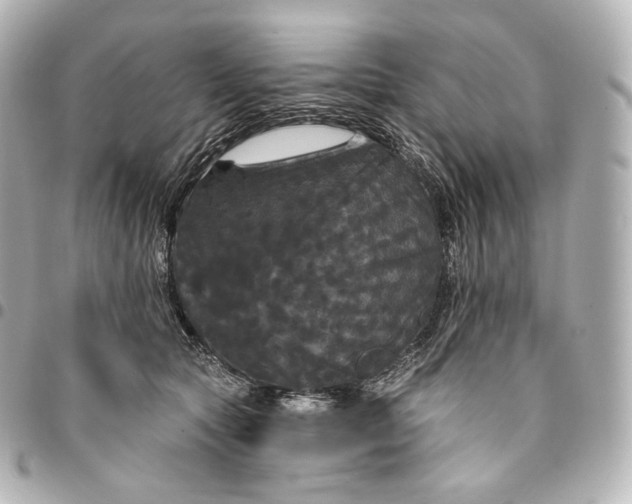 X0000095550561200712281608