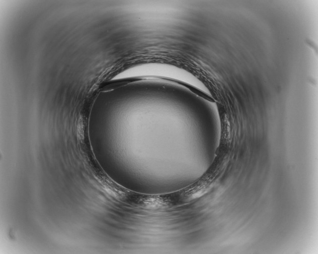 X0000095550562200712281608