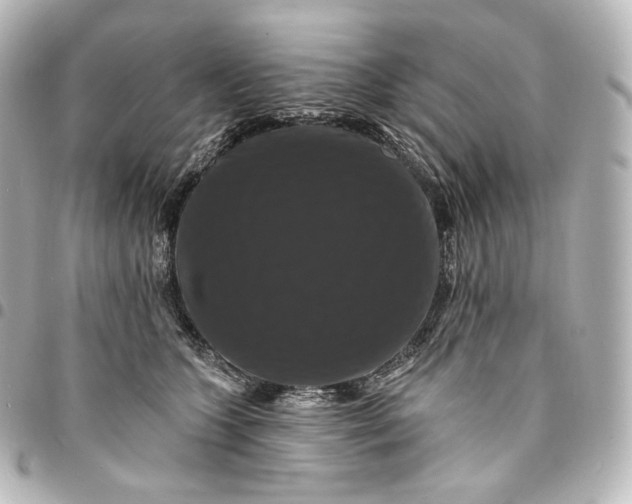 X0000095550563200712281608