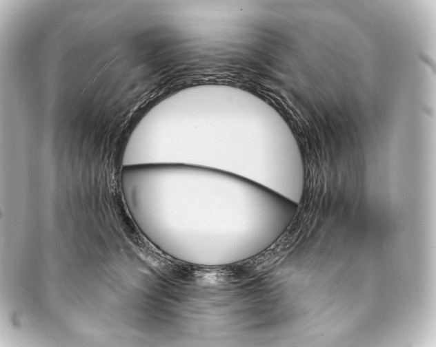 X0000095550564200712281608