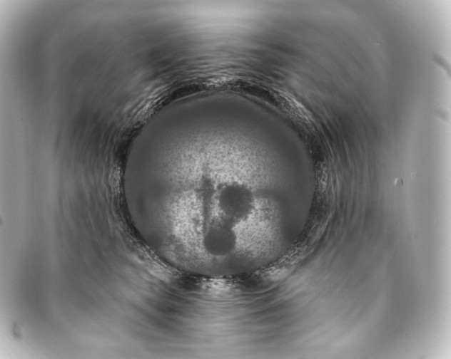 X0000095550565200712281608