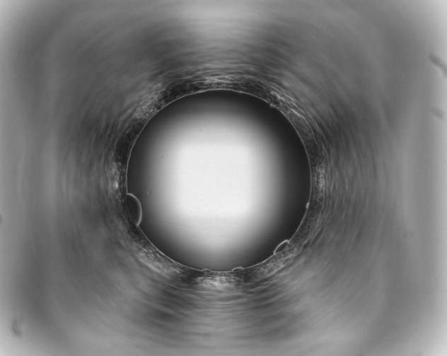 X0000095550567200712281608