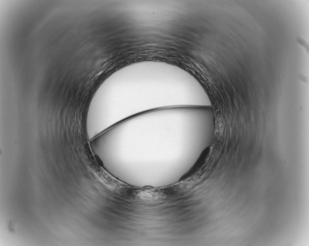 X0000095550568200712281609