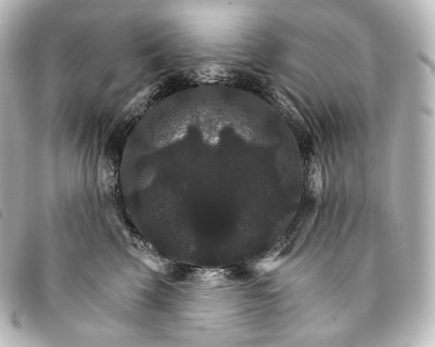 X0000095550569200712281609