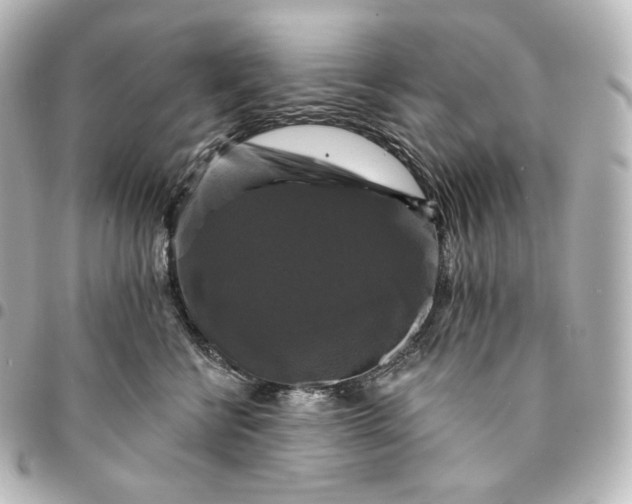 X0000095550570200712281609