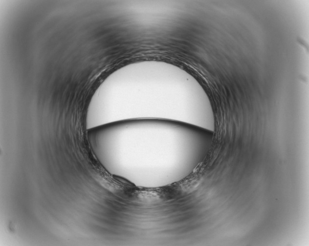 X0000095550572200712281609