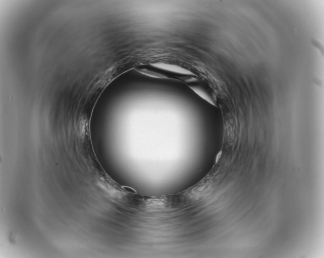 X0000095550574200712281609