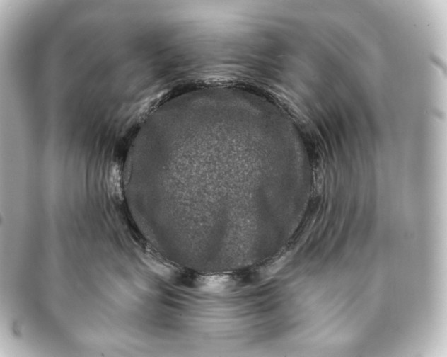 X0000095550575200712281609