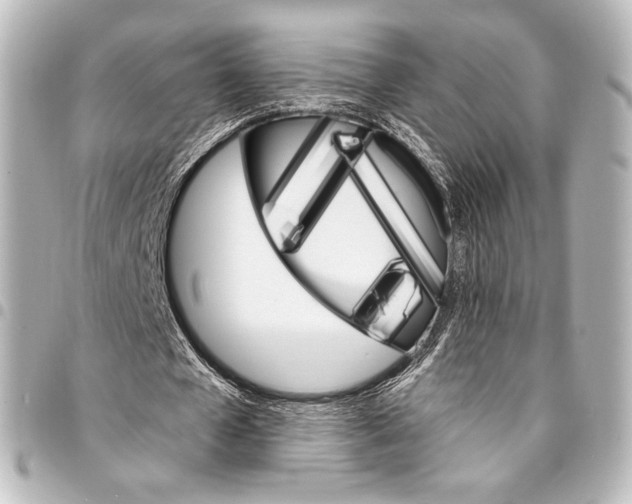 X0000095550577200712281608