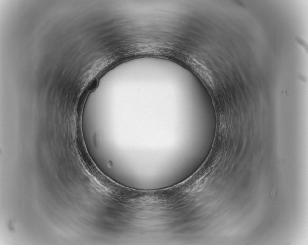 X0000095550578200712281608