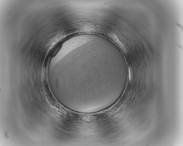 X0000095550579200712281608