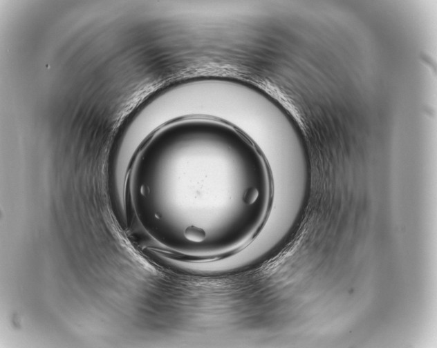 X0000095550581200712281608