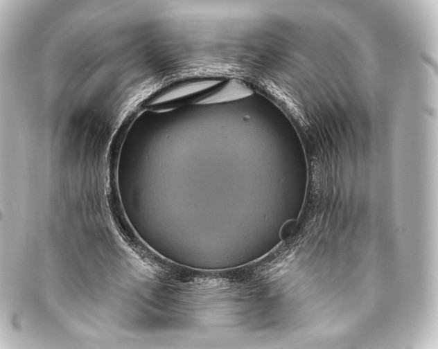 X0000095550582200712281608