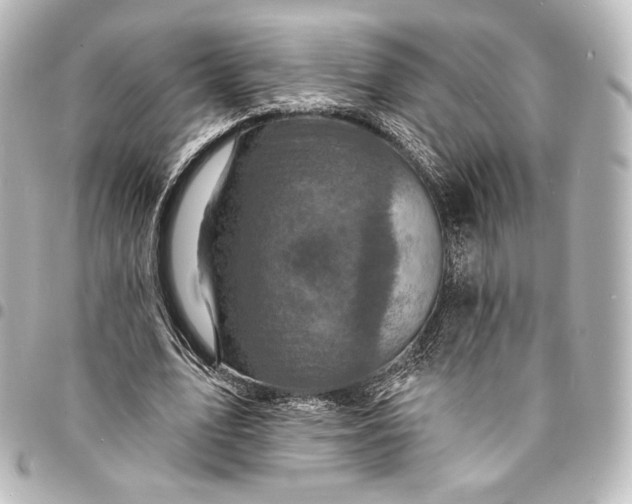 X0000095550583200712281608