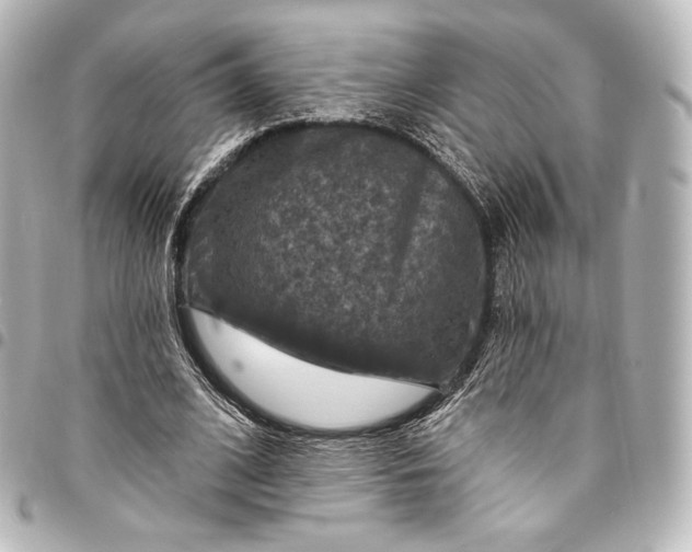 X0000095550584200712281608