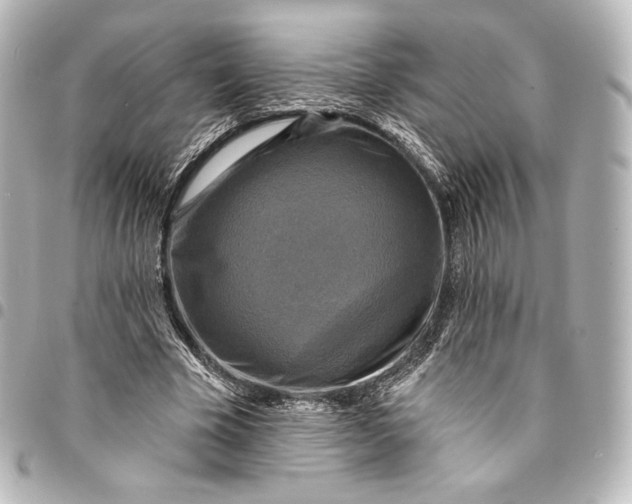 X0000095550585200712281608