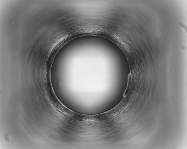 X0000095550587200712281608