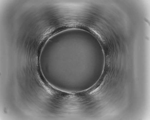 X0000095550589200712281608