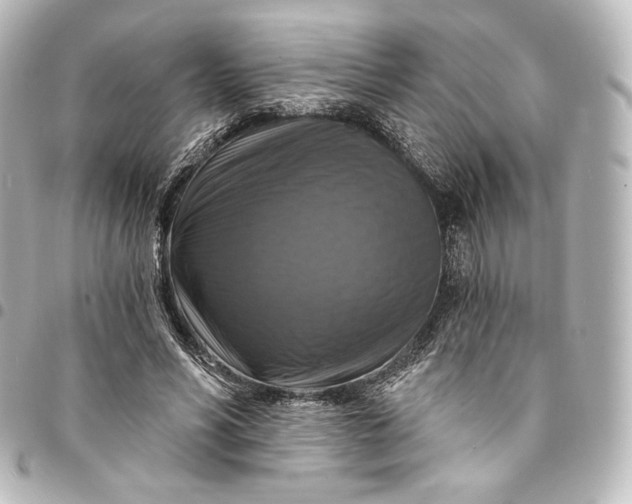 X0000095550590200712281608