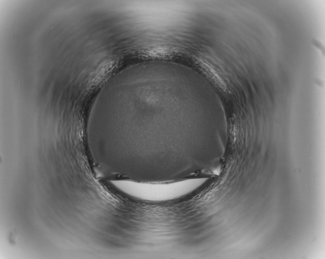 X0000095550593200712281608