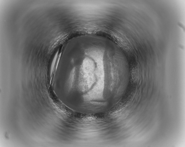 X0000095550594200712281608