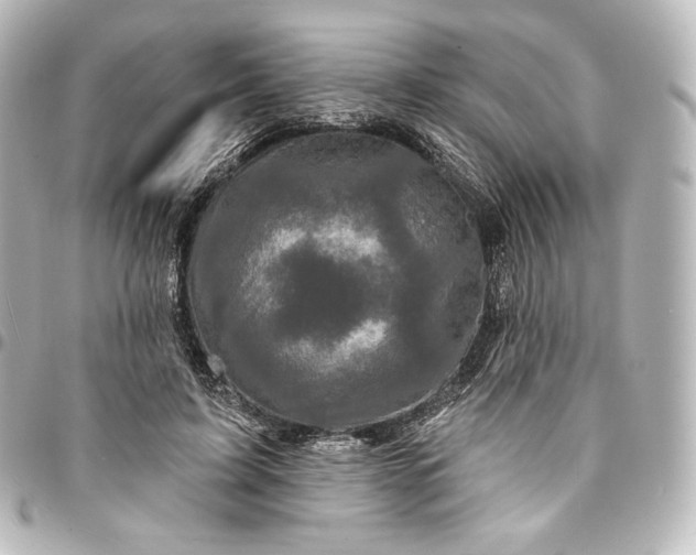 X0000095550595200712281608