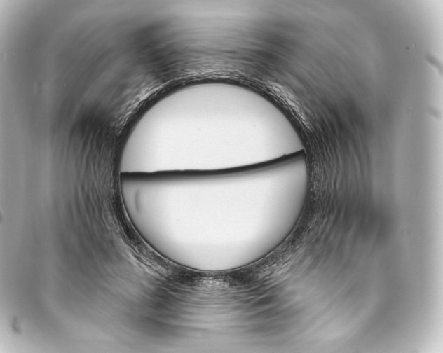 X0000095550596200712281608