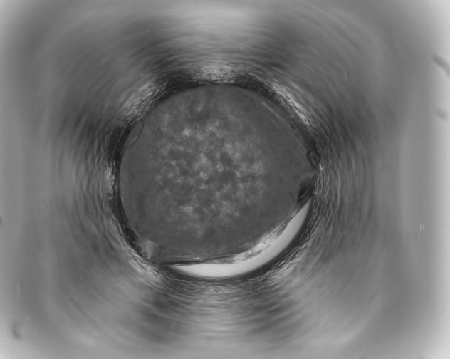 X0000095550597200712281608