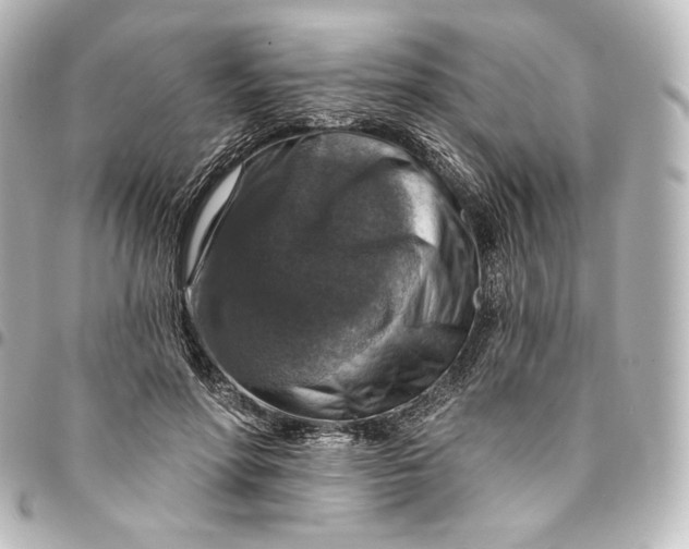 X0000095550598200712281608