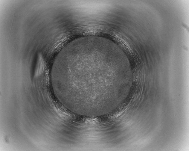 X0000095550599200712281608