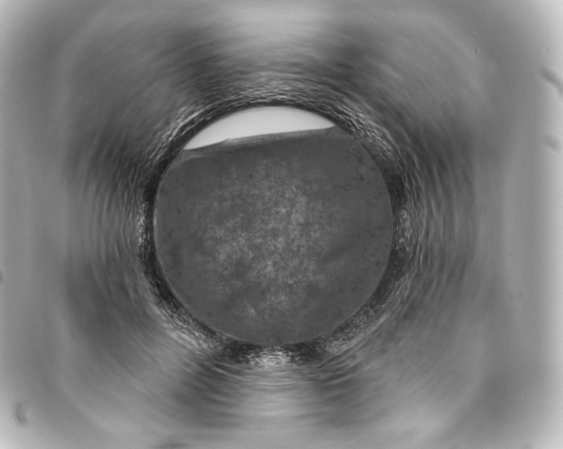 X0000095550600200712281608