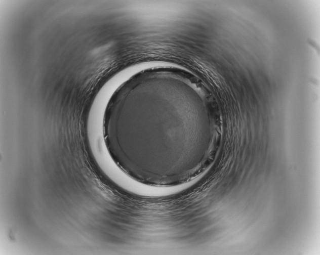 X0000095550601200712281608