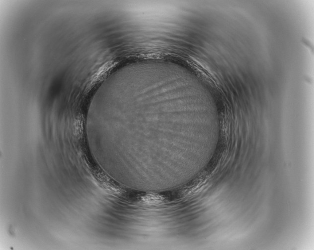 X0000095550603200712281608