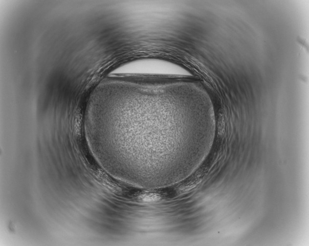 X0000095550604200712281608