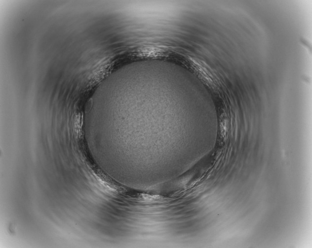 X0000095550605200712281608