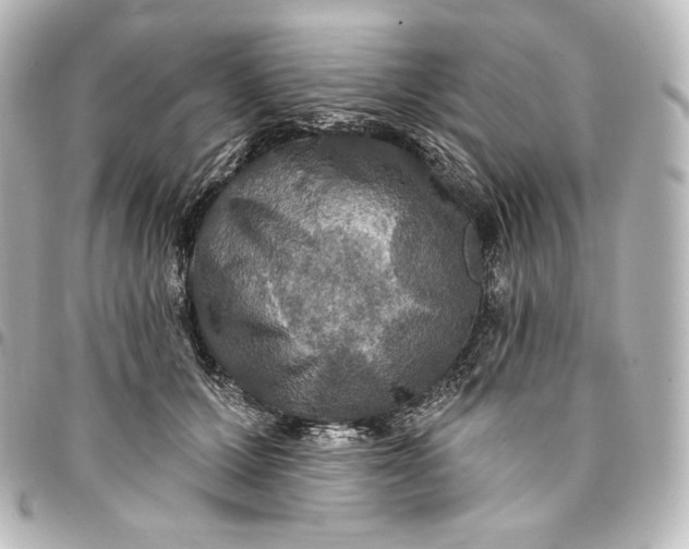 X0000095550607200712281608