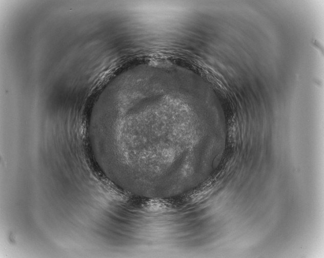 X0000095550608200712281608