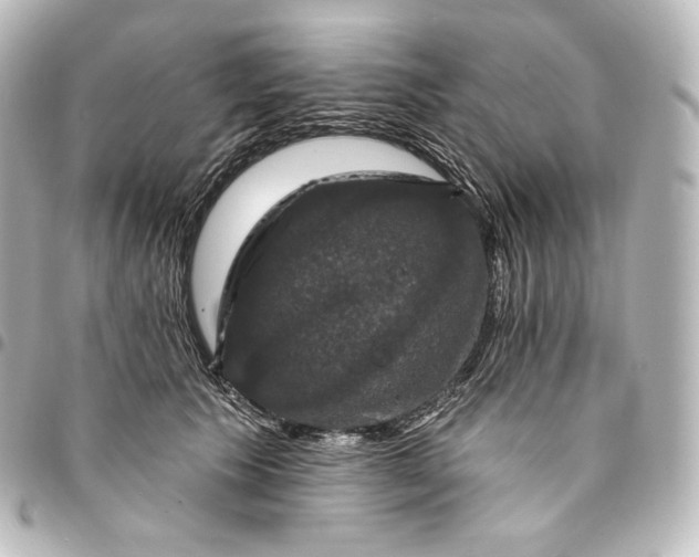 X0000095550609200712281608