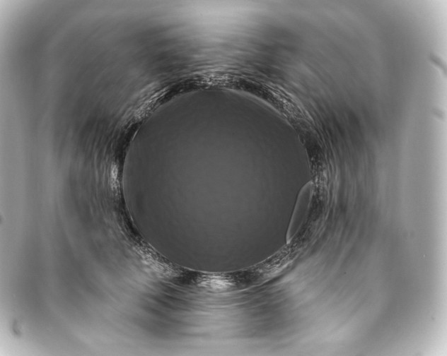 X0000095550610200712281608