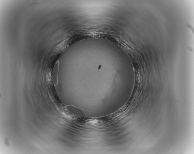 X0000095550611200712281608