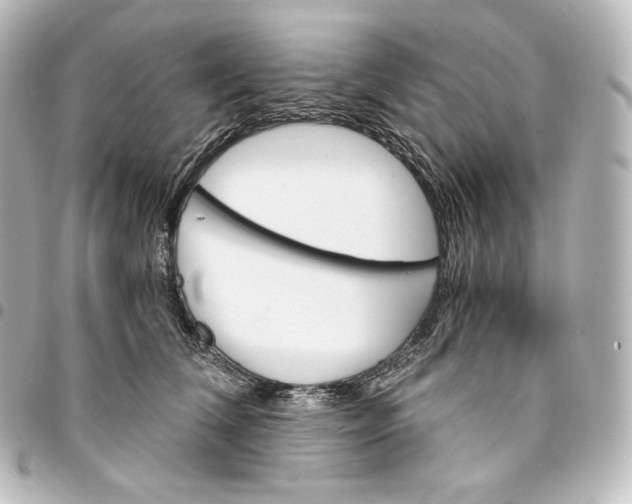 X0000095550612200712281607