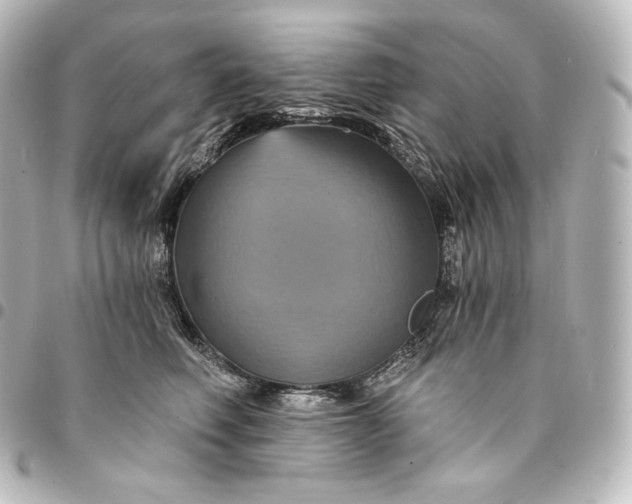 X0000095550614200712281607