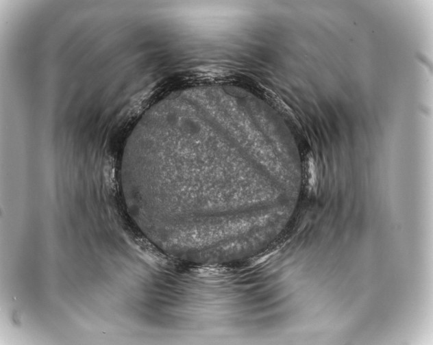 X0000095550615200712281607