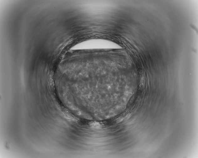 X0000095550616200712281607