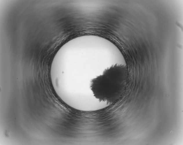 X0000095550617200712281607