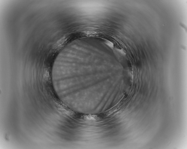 X0000095550618200712281607