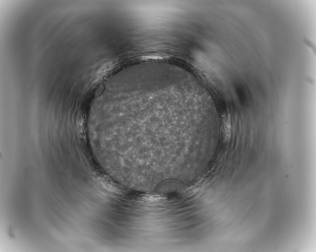 X0000095550619200712281607