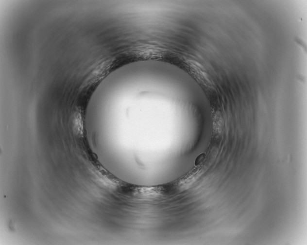 X0000095550622200712281607