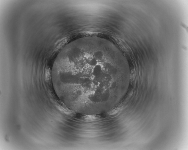 X0000095550623200712281607